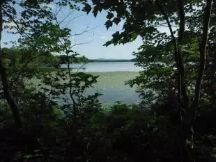 Le lac Saint-Augustin à travers les arbres