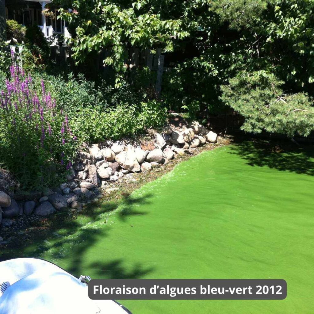 Floraison 2012