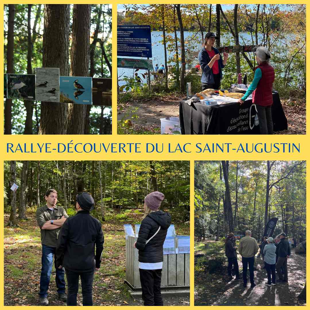 Rallye-découverte du LSA 2024