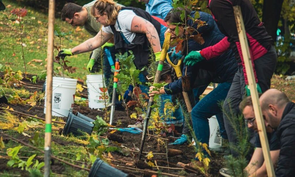 microforet-Outremont