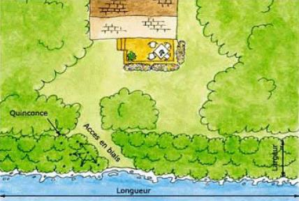 Plan type d'une bande riveraine bien végétalisée