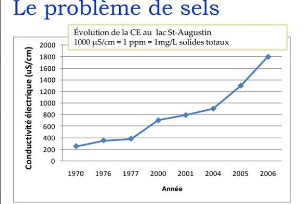 La salinité au LSA